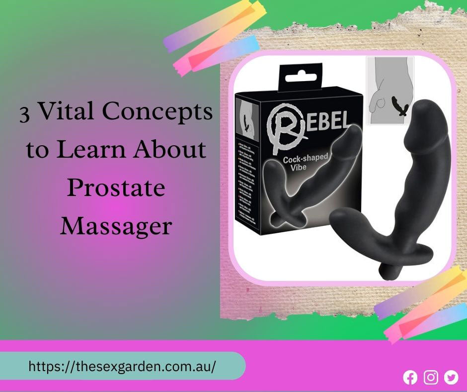 Vital Concepts to Learn About Prostate Massager