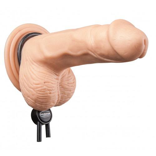 MALESATION Adjustable Cock Ring