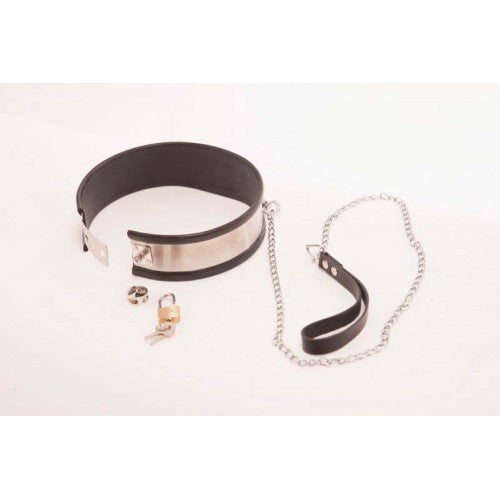Rapture Steel Band Leashed Collar Small 2