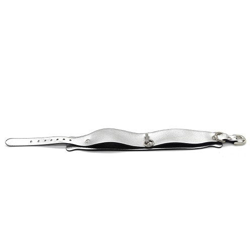 STIM U Silver Cat BDSM Kit 4